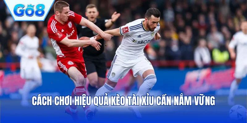 Cách chơi hiệu quả kèo tài xỉu cần nắm vững